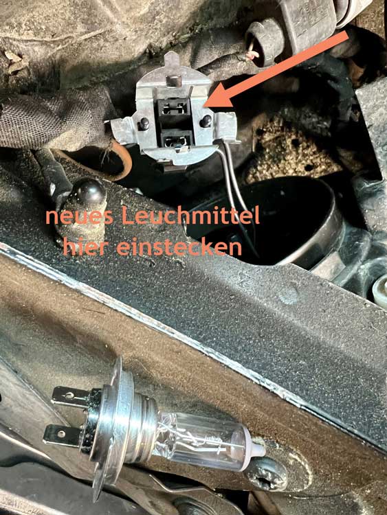 Foto Glühlampe aus Steck-Sockel herausgezogen, neue Glühbirne in Stecksockel stecken 