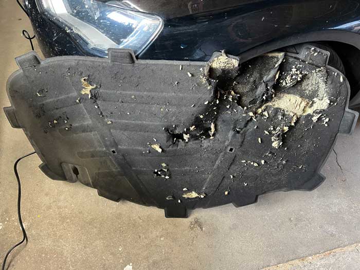 Foto Dämmmatte fällt nach Marderschaden heraus und hängt auf halb acht