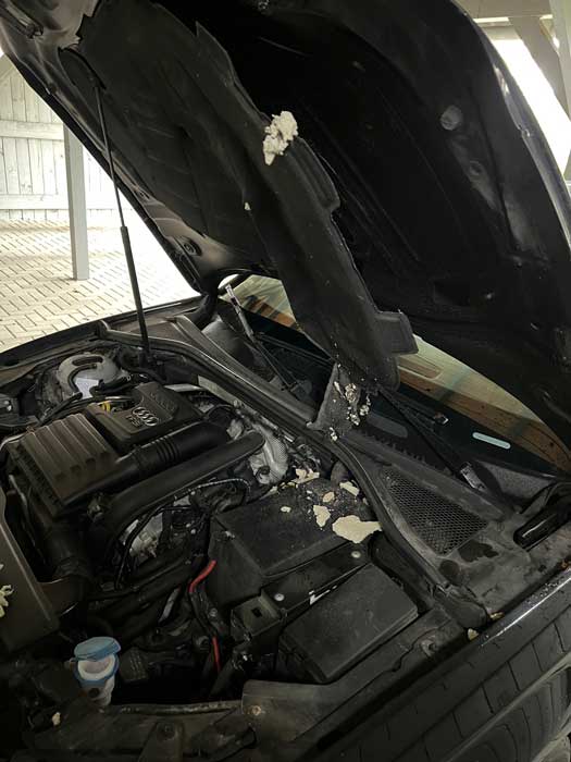 Foto ausgebaute Motorhaubendämmung komplett zerfressen vom Marder